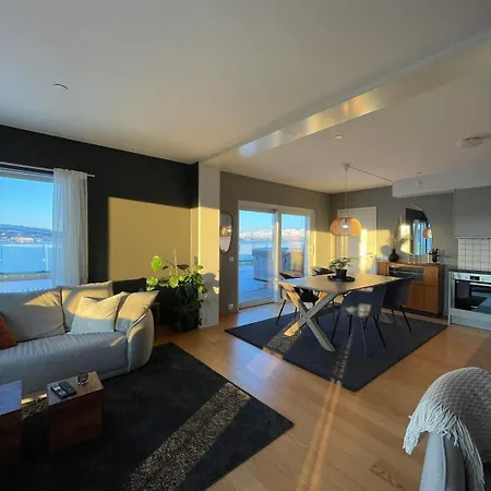 Northern Lights Penthouse 公寓 特罗姆瑟